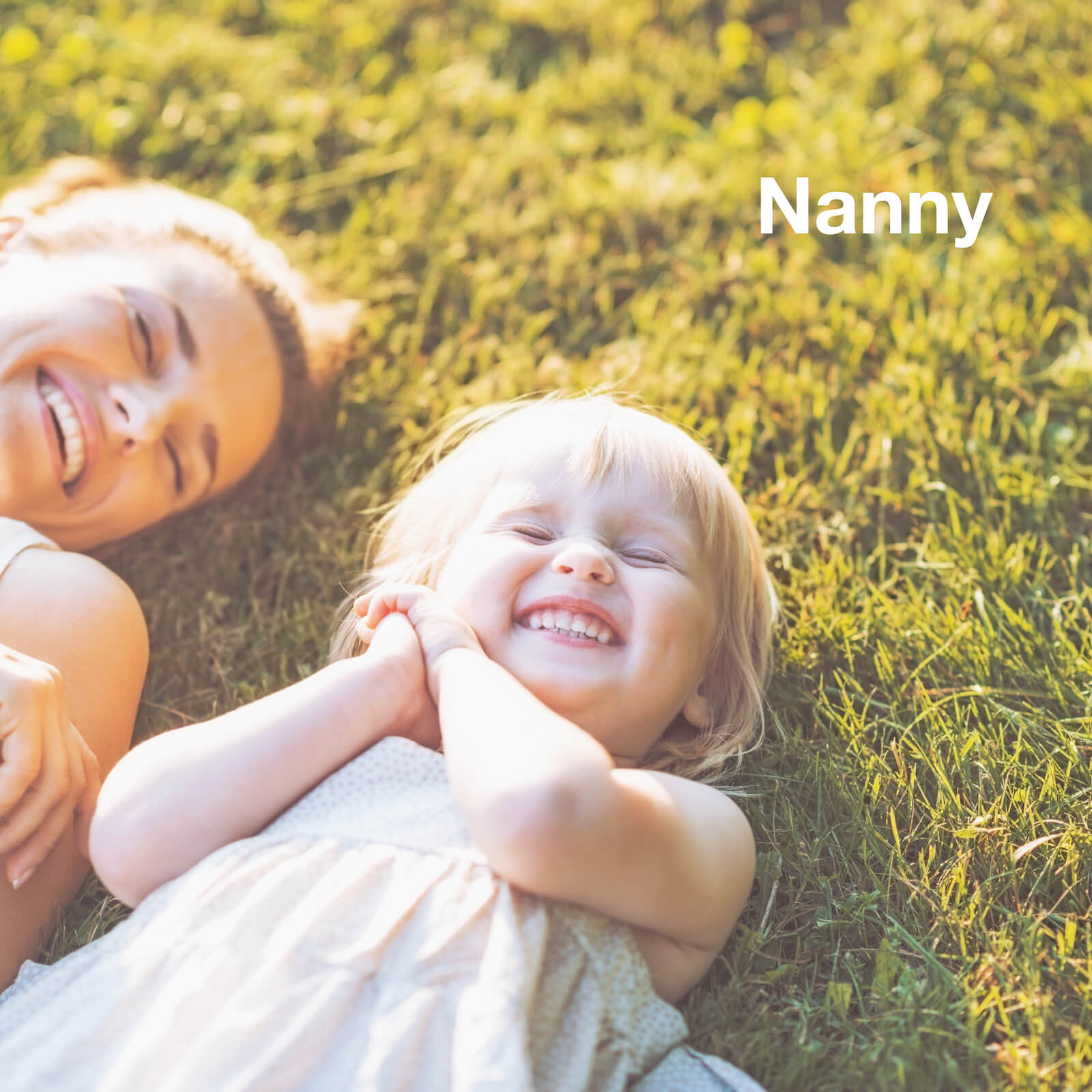 qualified nannies, governesses and educators for private households