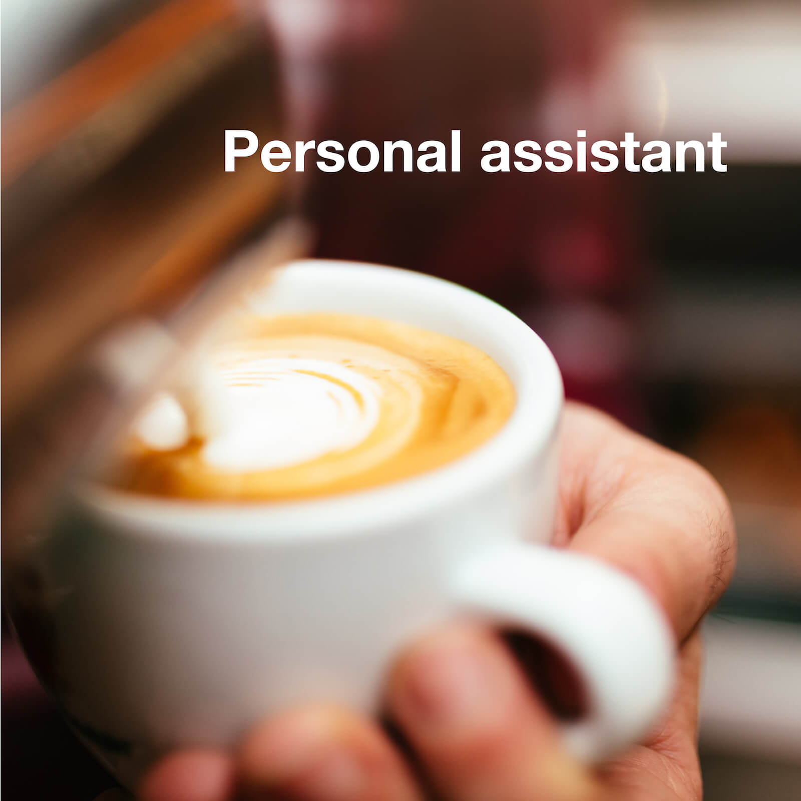 A personal Assistant in a private household can bring family happiness.